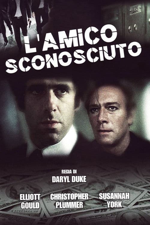 L'amico sconosciuto