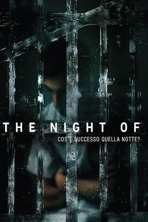 The Night of - Cosa è successo quella notte?
