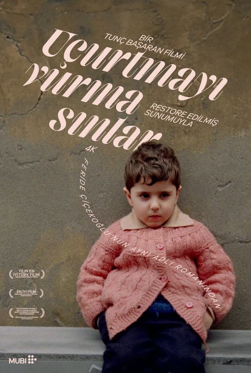 Non sparate agli aquiloni