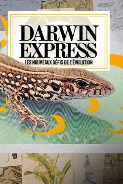 Darwin express - Les nouveaux défis de l'évolution