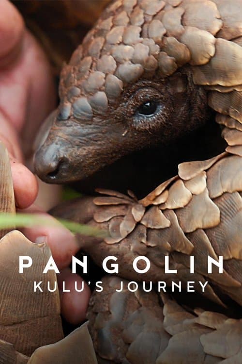 Pangolin