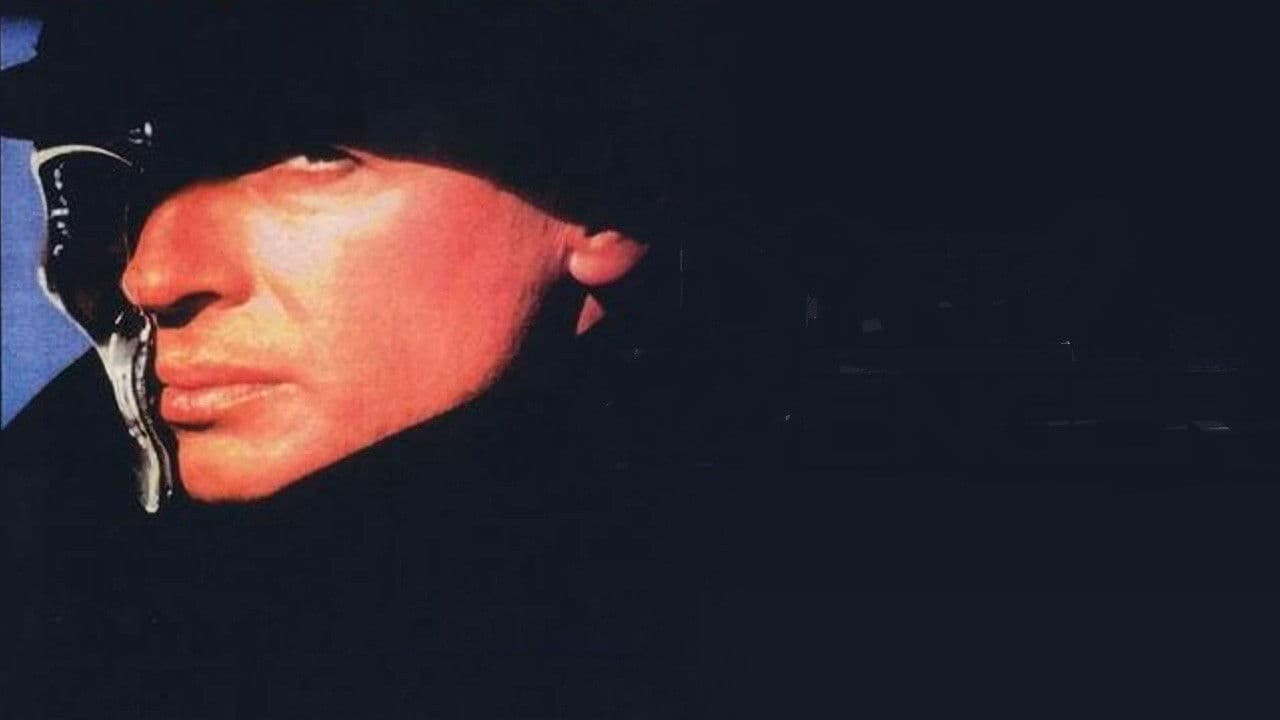 Il vendicatore della notte