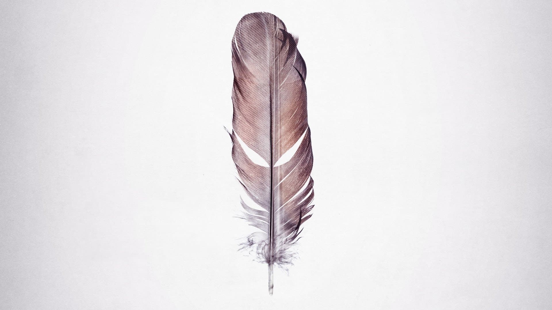 Tickled: Il lato oscuro del solletico