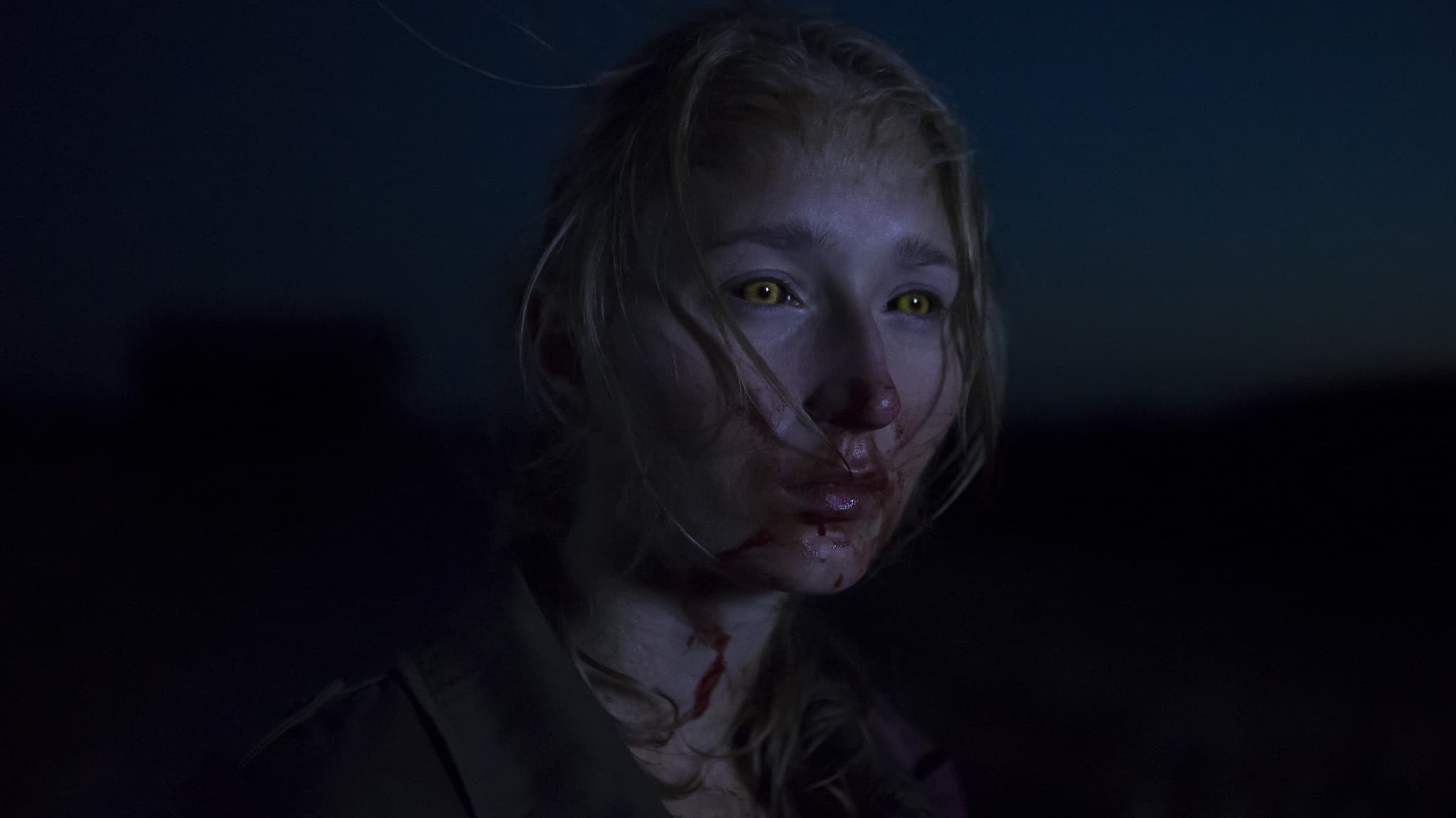 Når dyrene drømmer