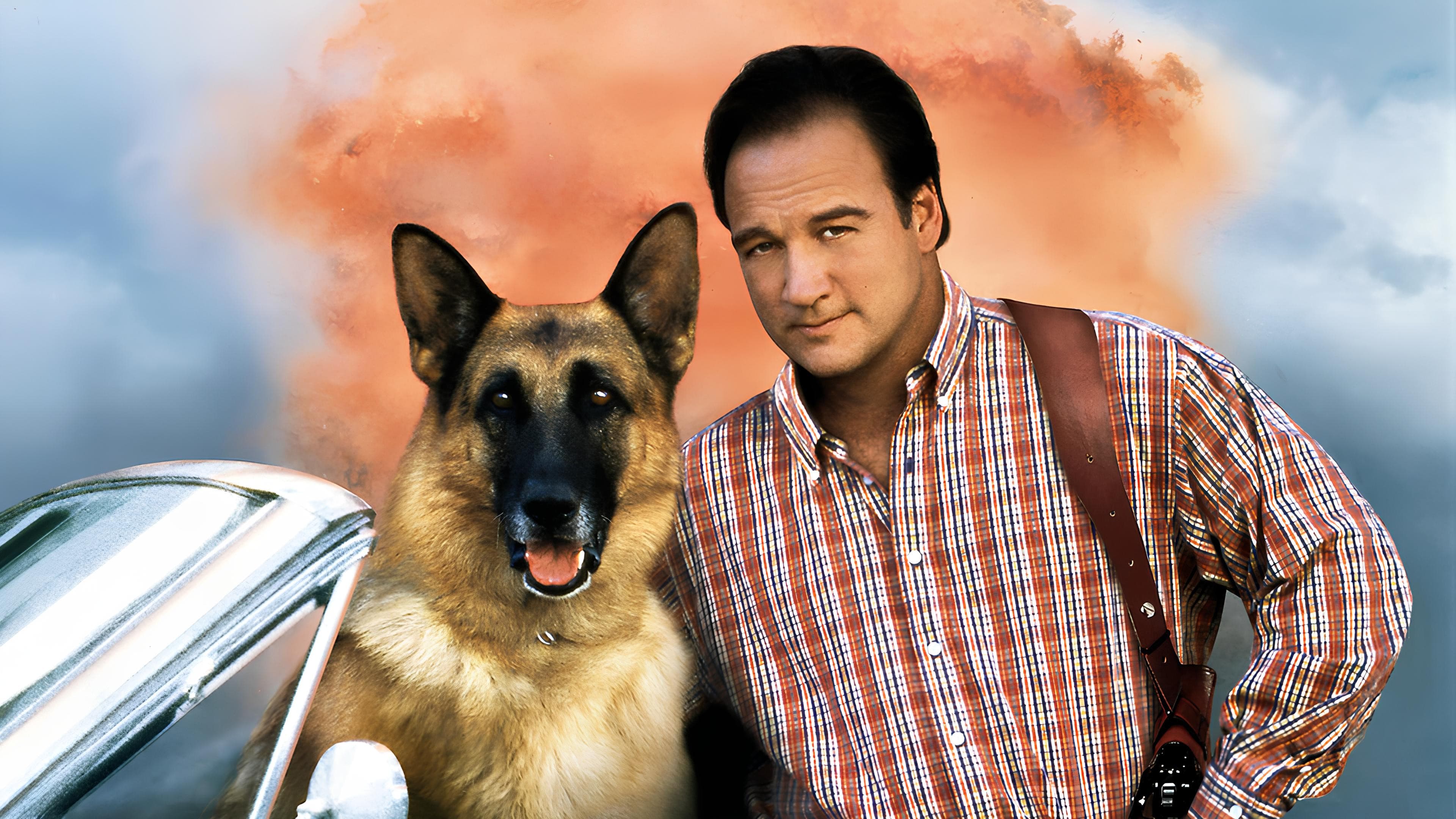 Un poliziotto a 4 zampe 2