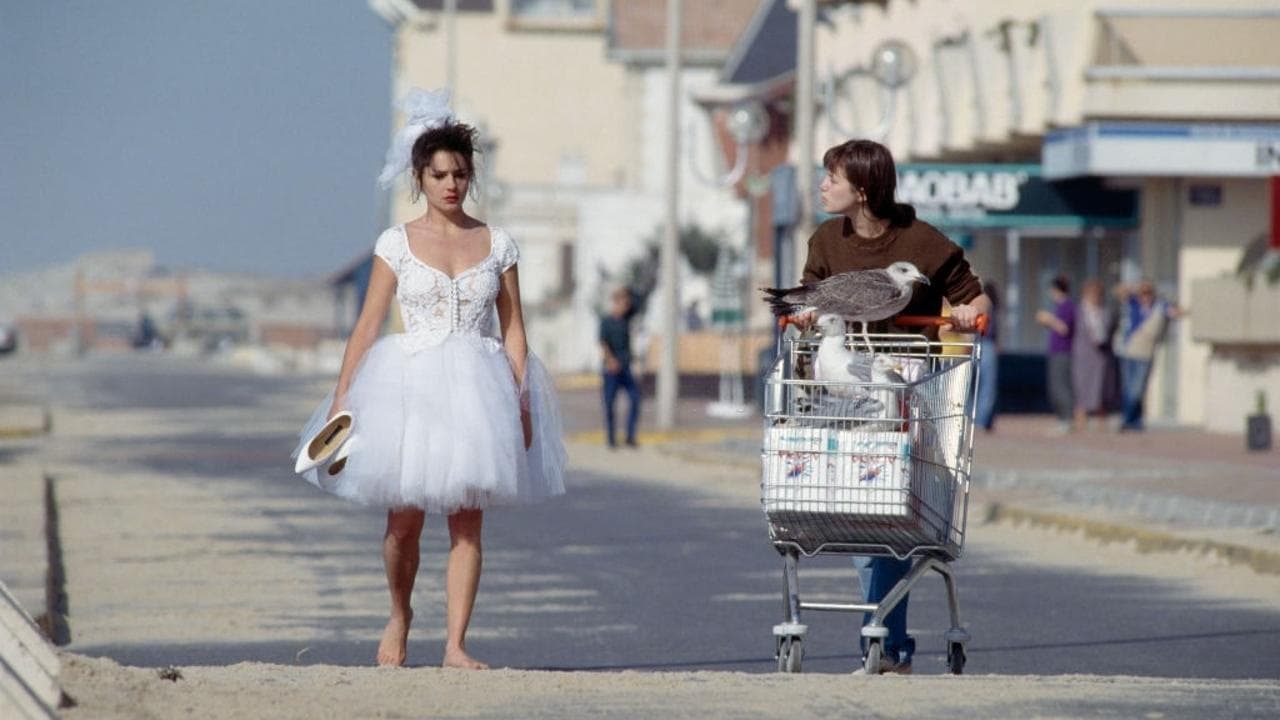 Merci la vie, grazie alla vita