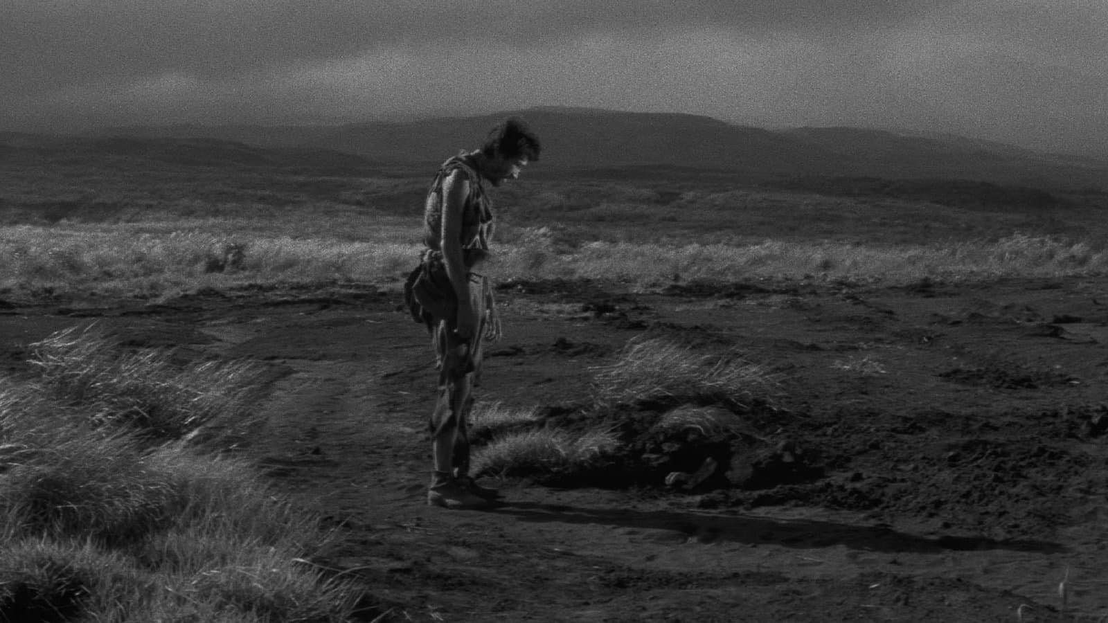 Fuochi nella pianura