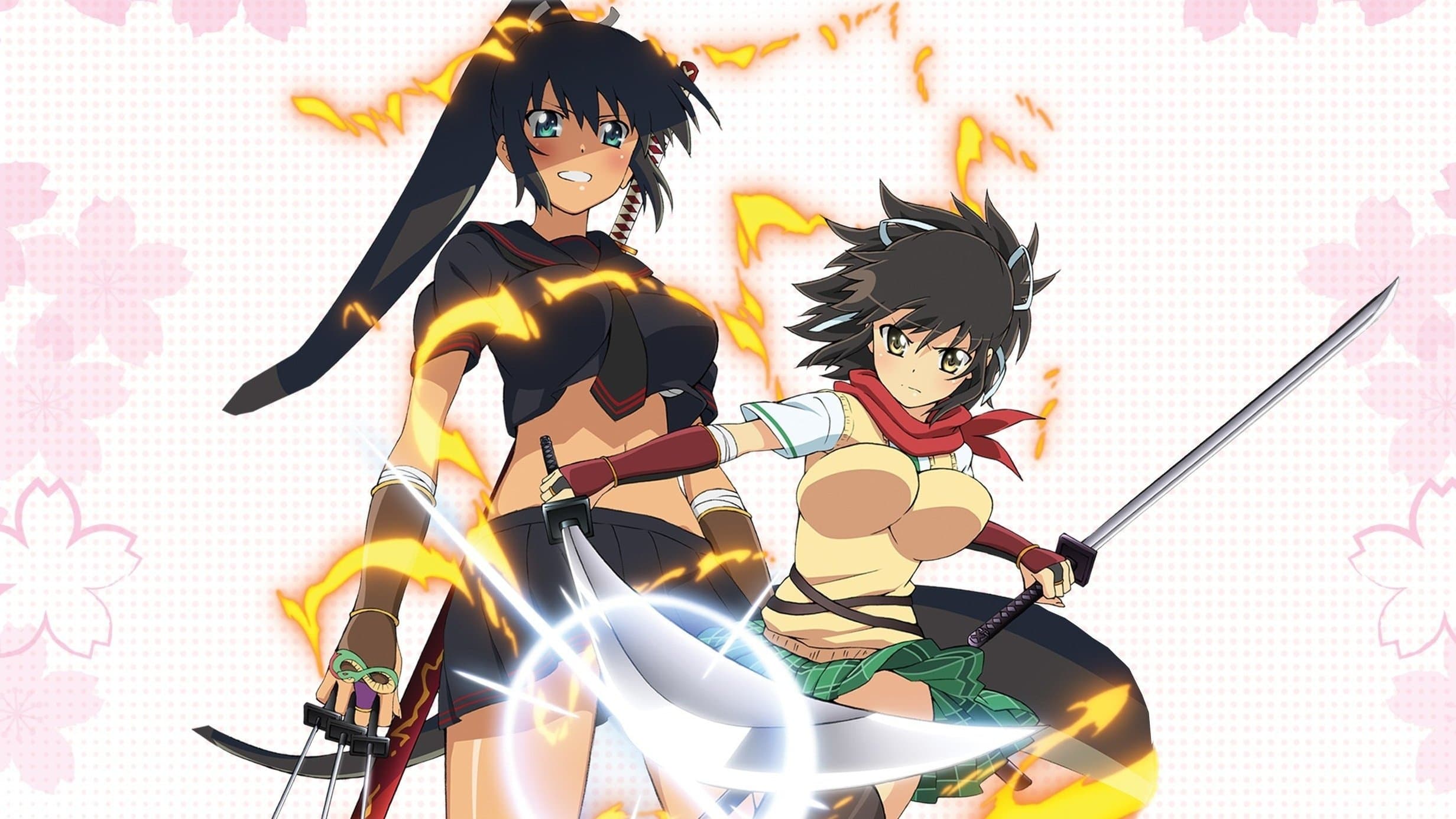 Senran Kagura Ninja Flash