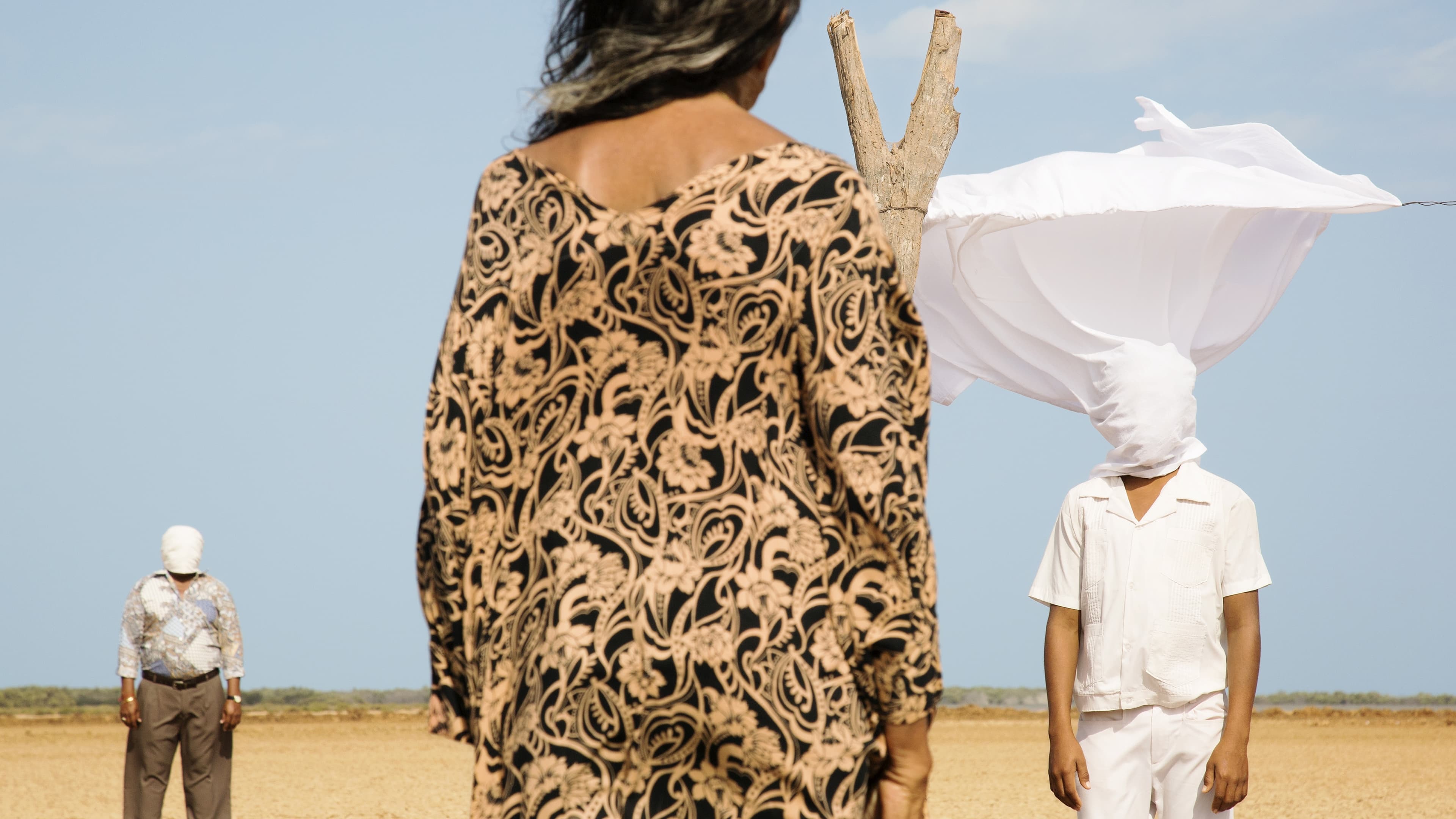 Oro verde - C'era una volta in Colombia