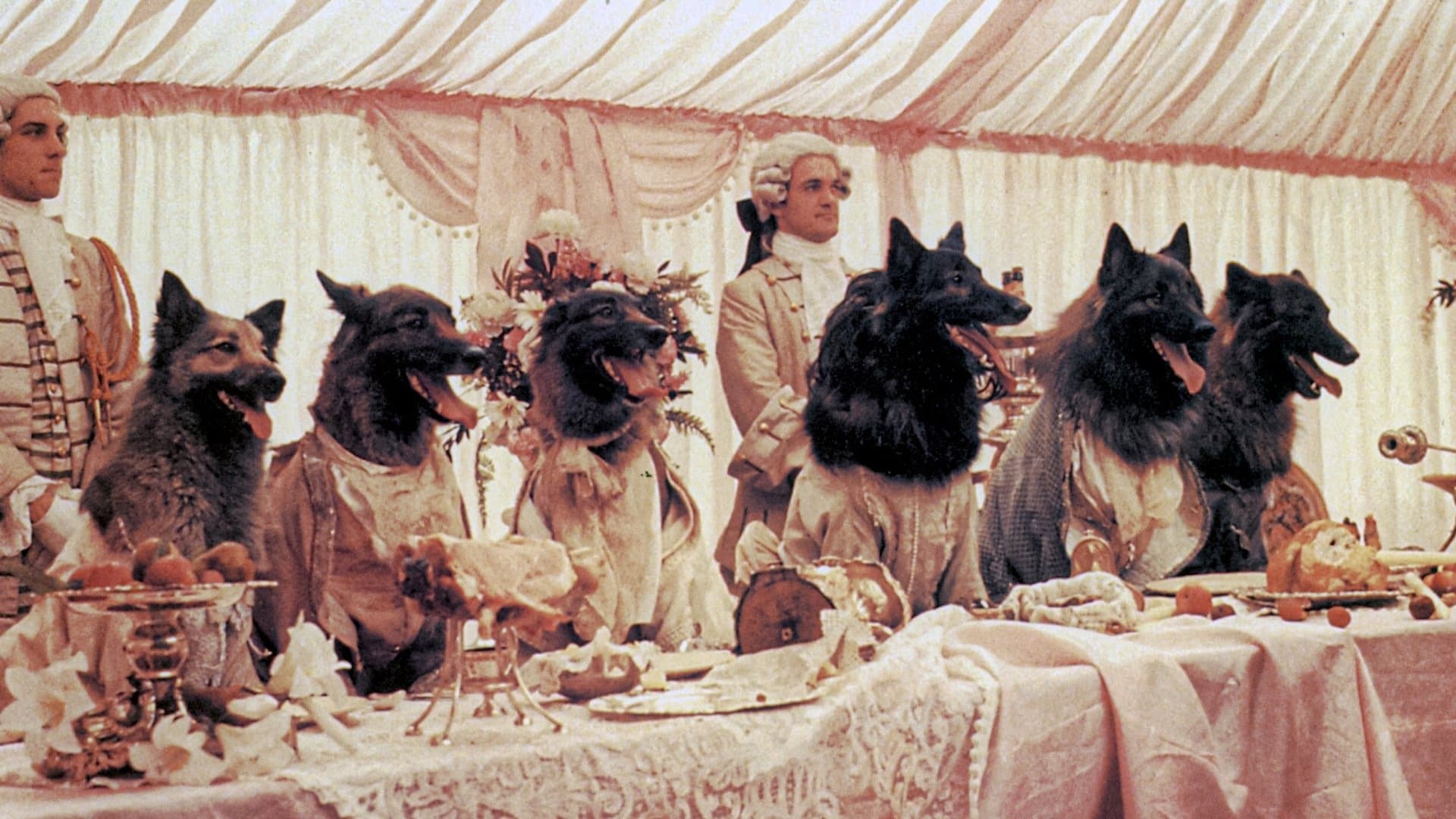 In compagnia dei lupi