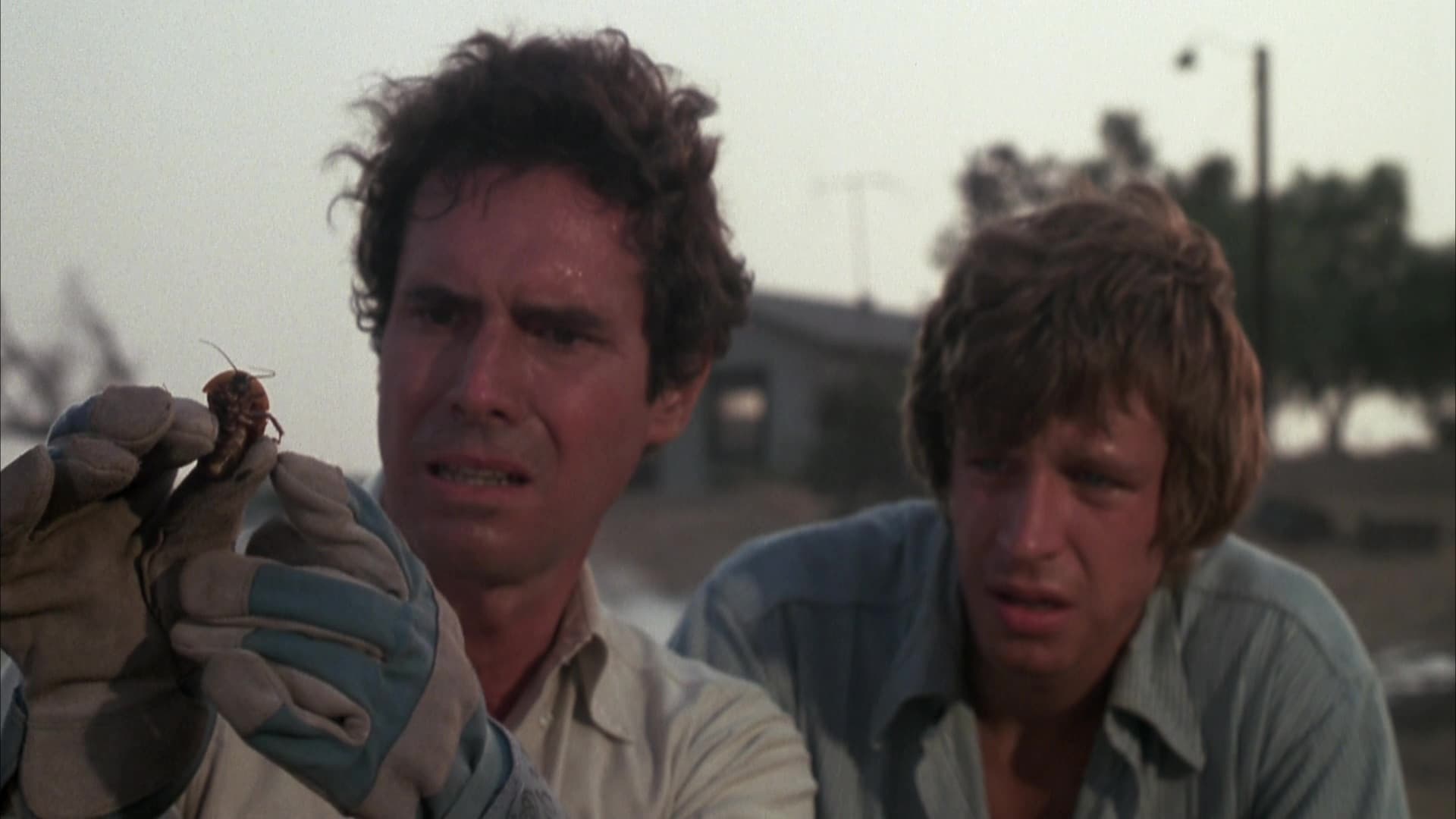 Bug - Insetto di fuoco