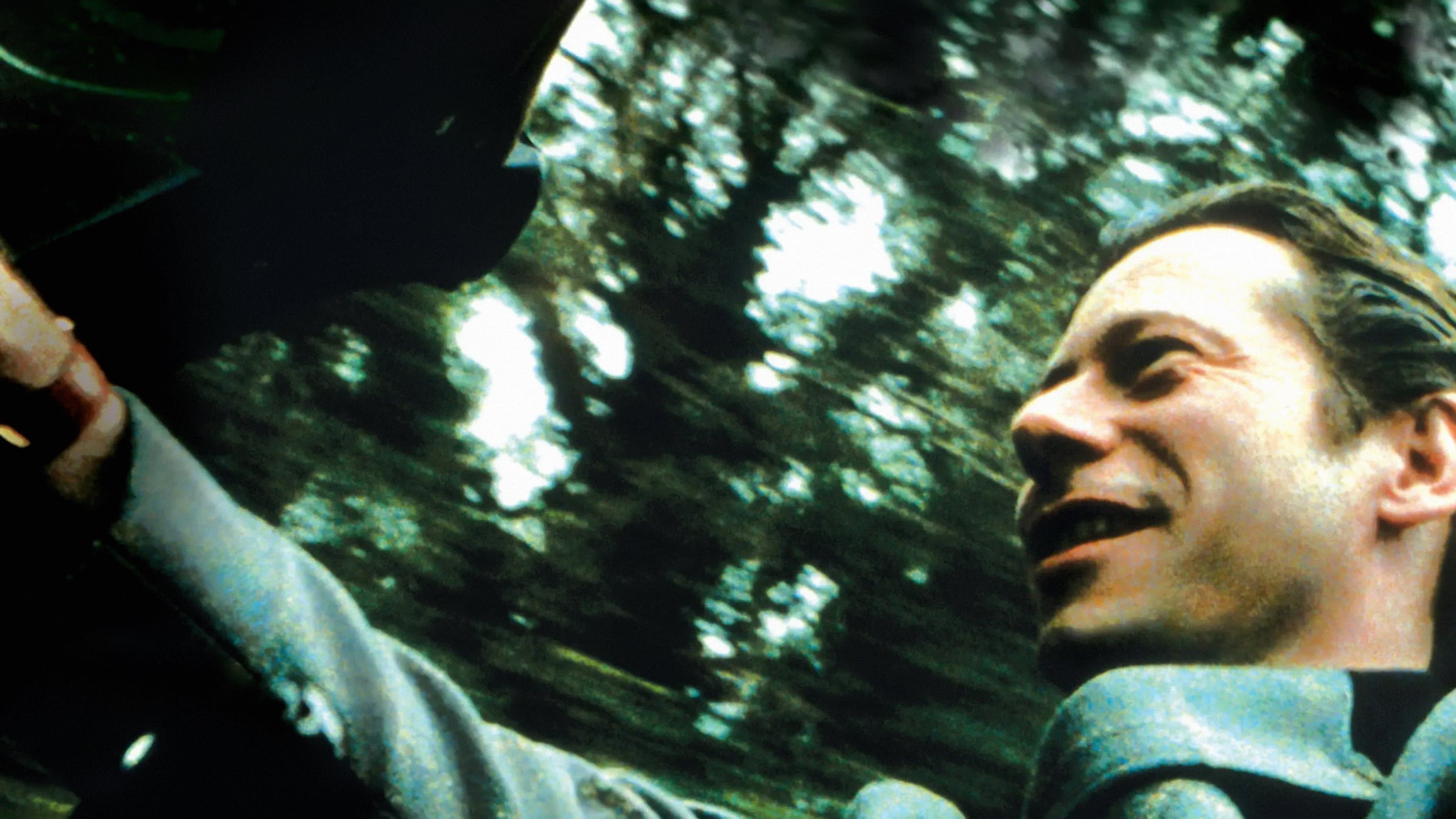 Lo scafandro e la farfalla