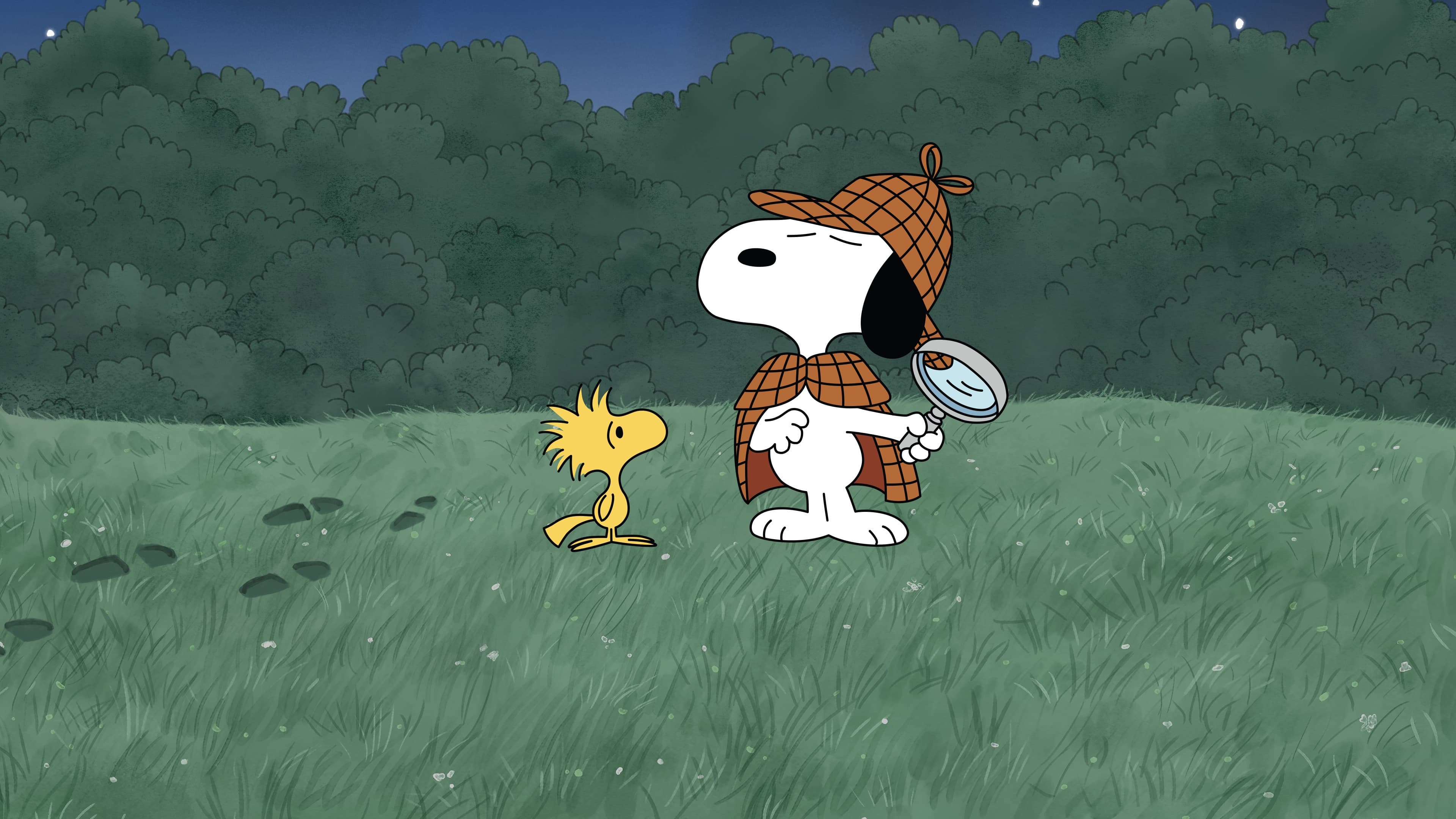 È un mistero, Charlie Brown!