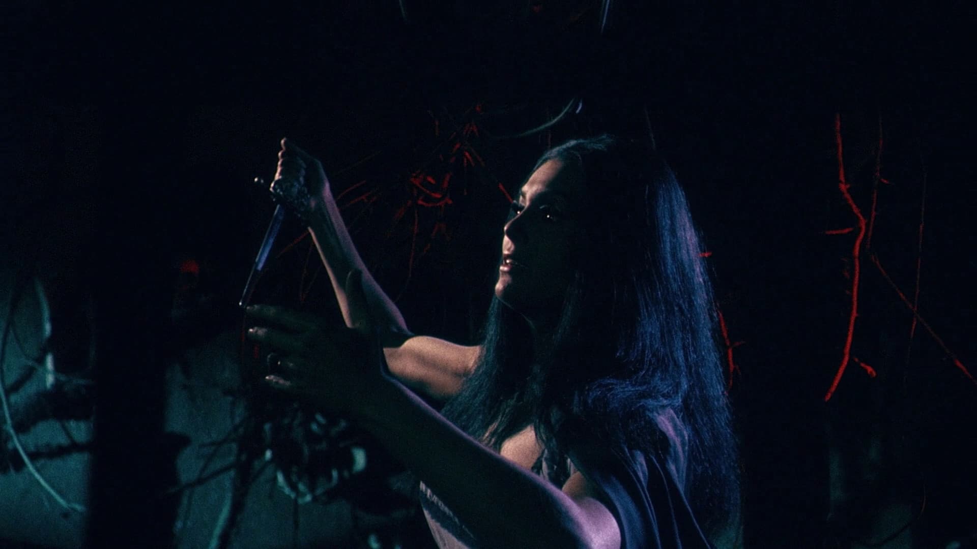 La frusta e il corpo