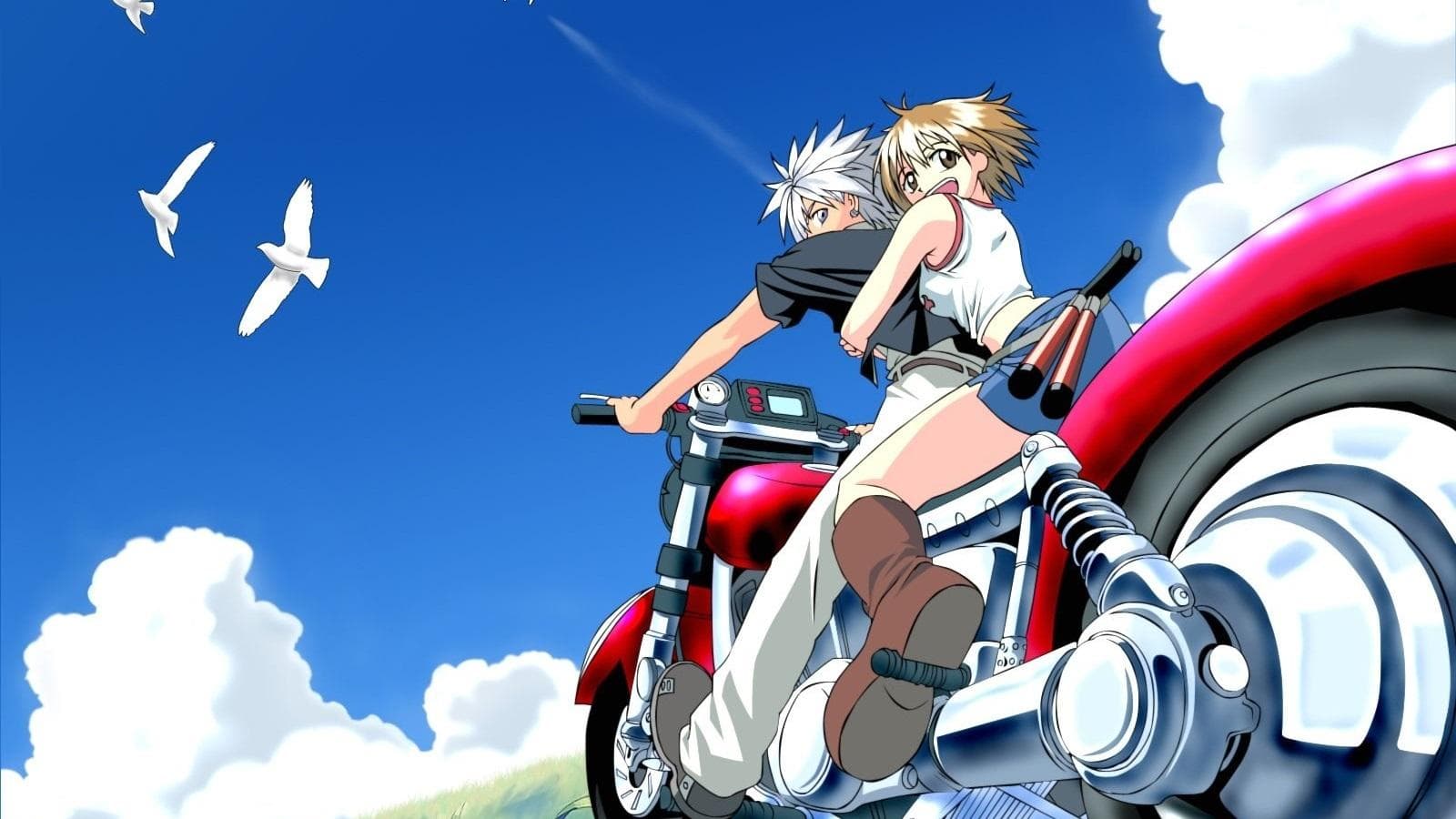 Groove Adventure Rave