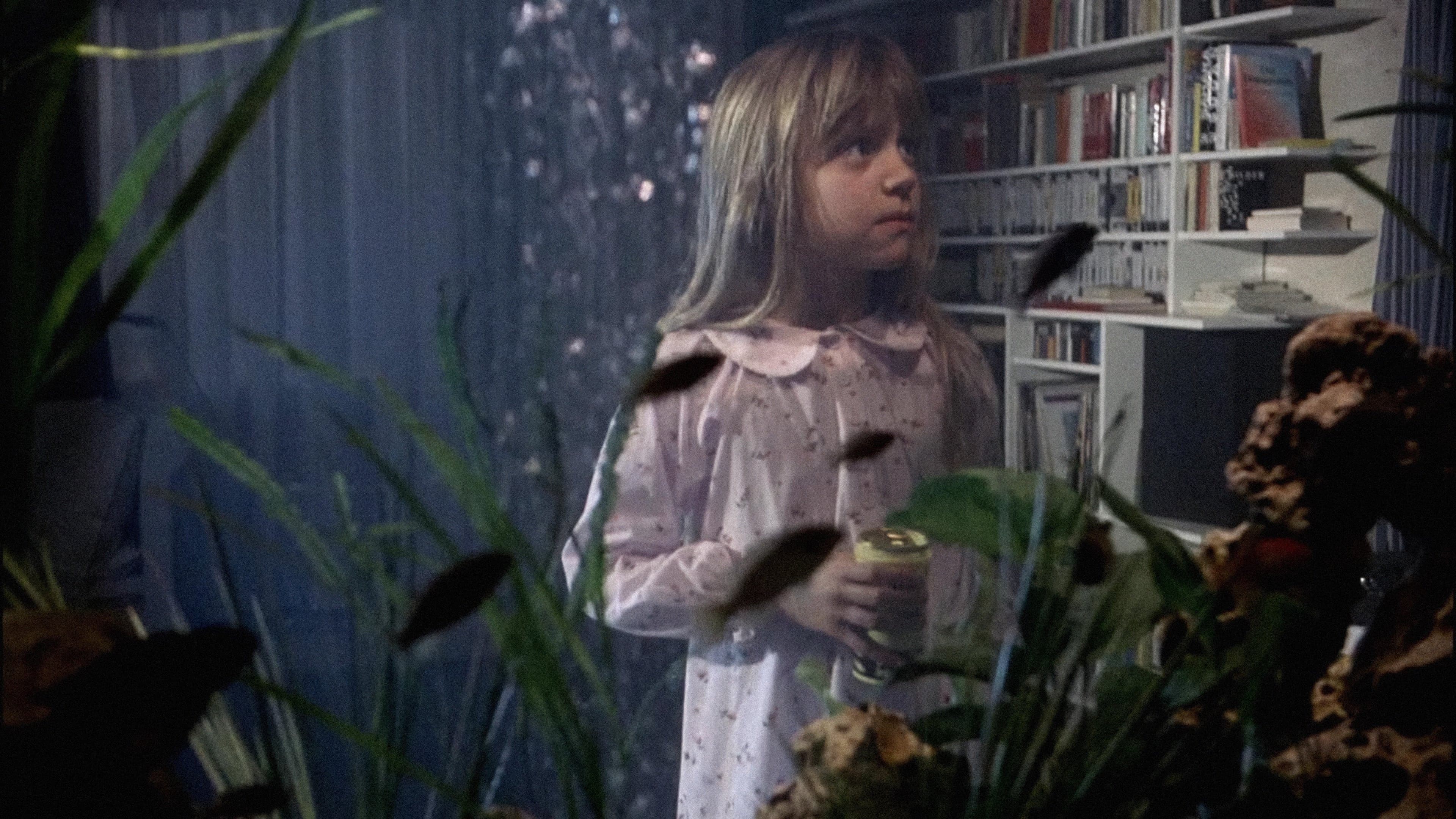 Il settimo continente