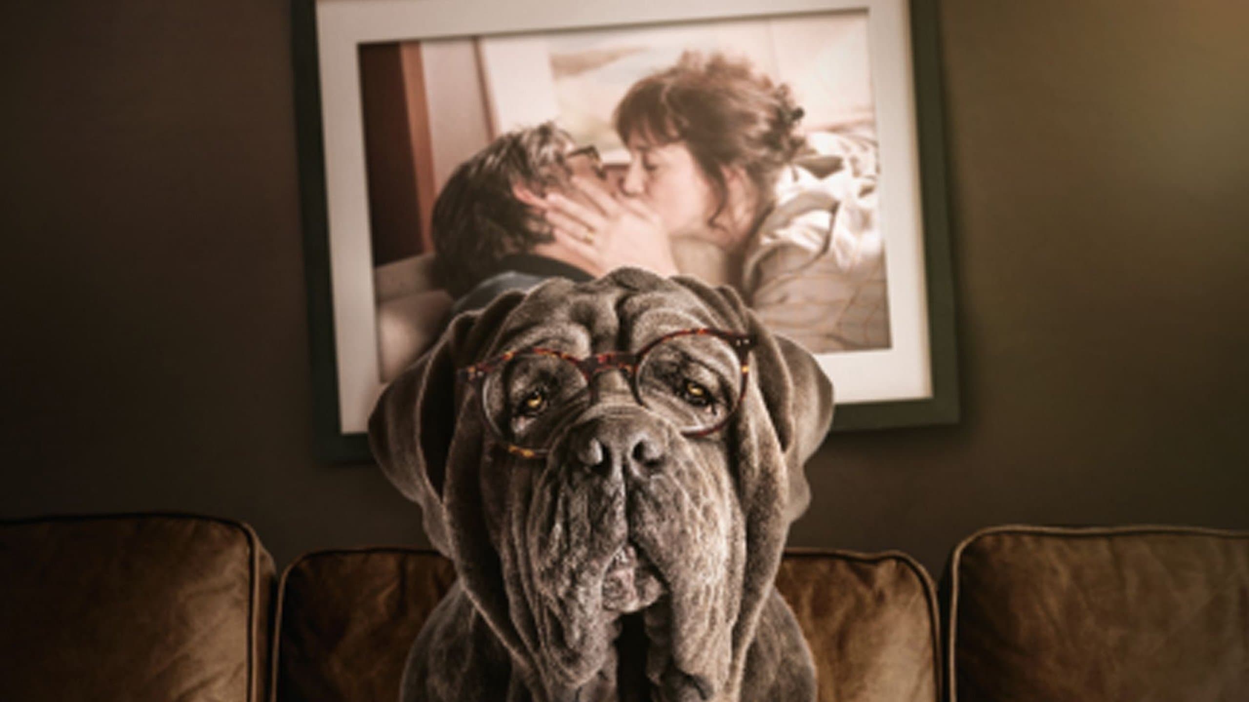 My Dog Stupid - Il mio cane Stupido