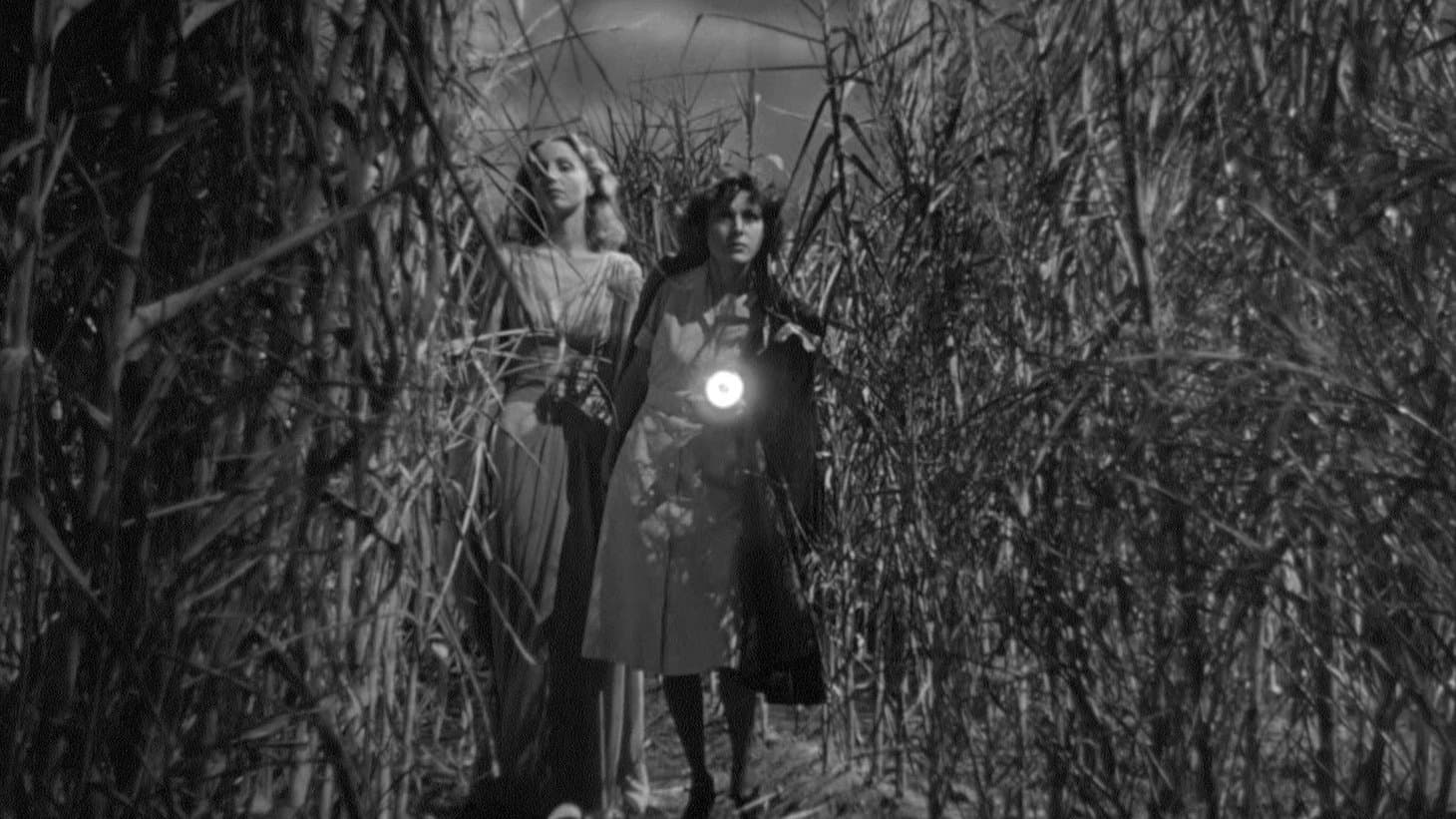 Ho camminato con uno zombi