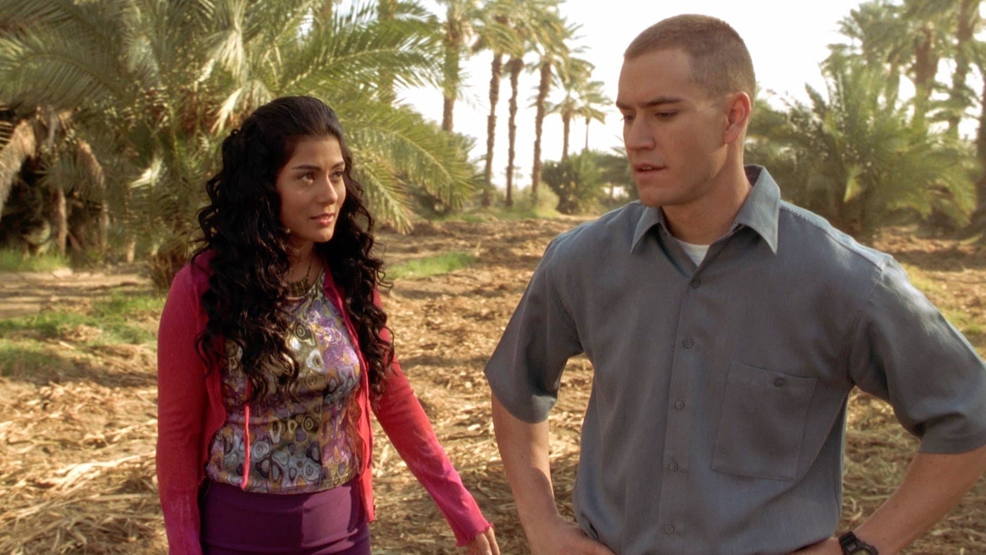 La principessa e il marine