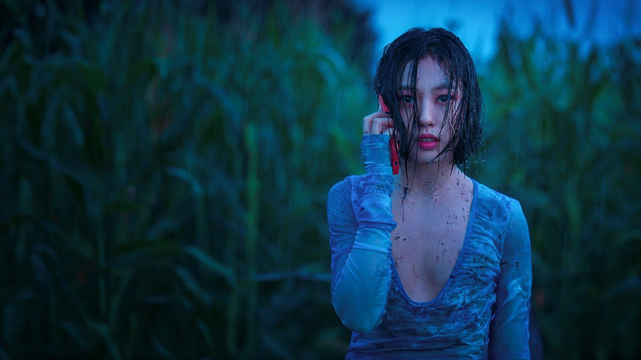 Se un albero cade in una foresta