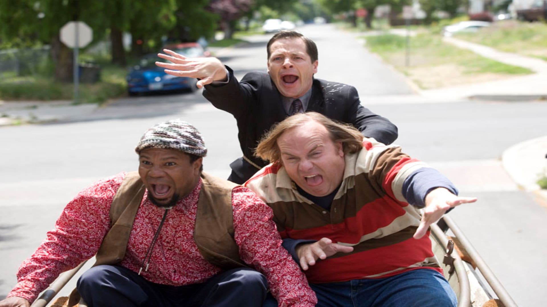 Diamond Dog - Un tesoro di cane