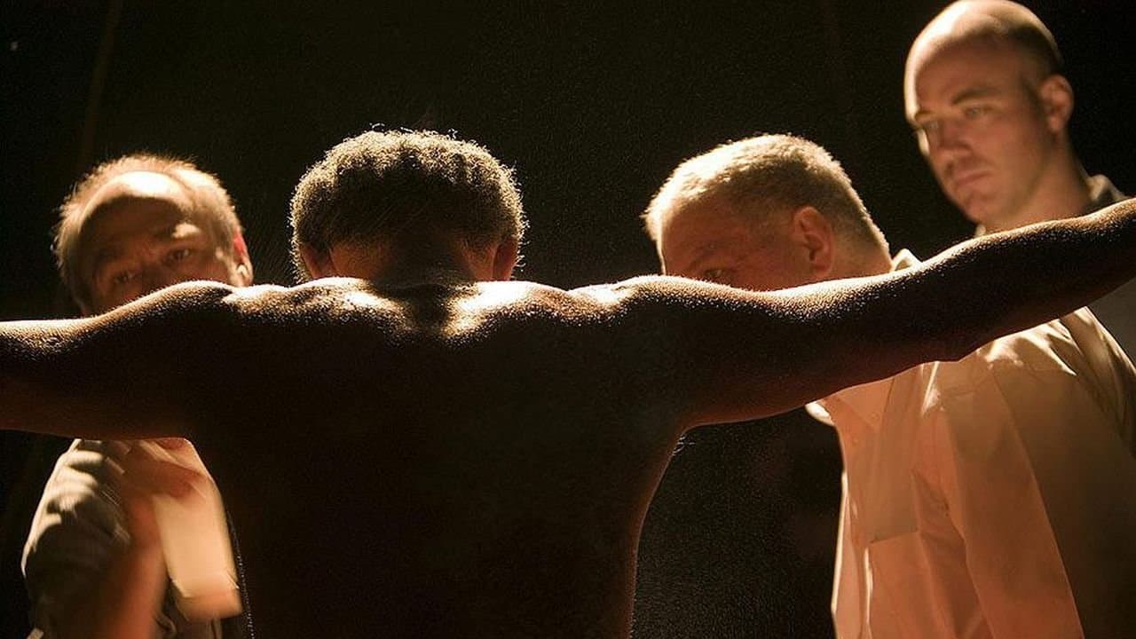 Standard Operating Procedure - La verità dell'orrore