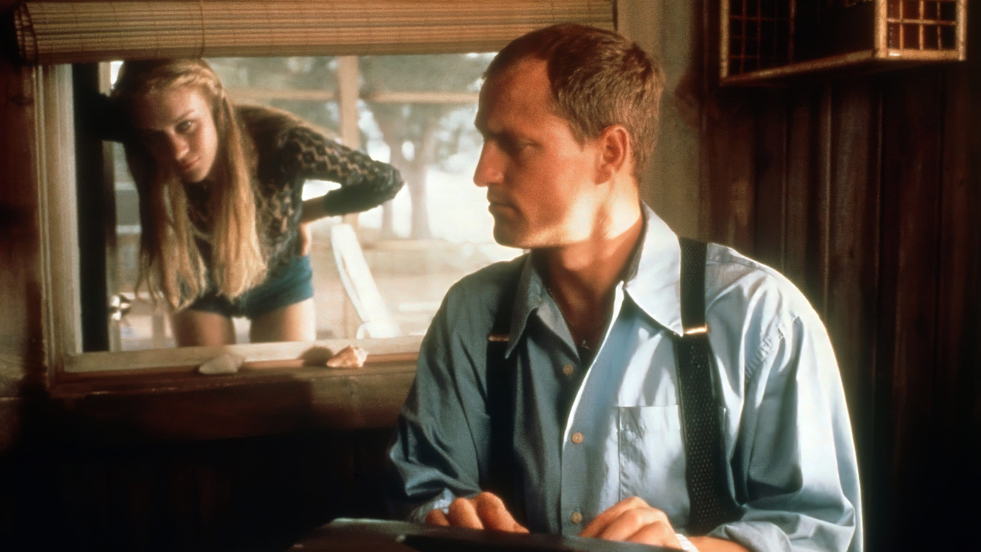 Palmetto - Un torbido inganno