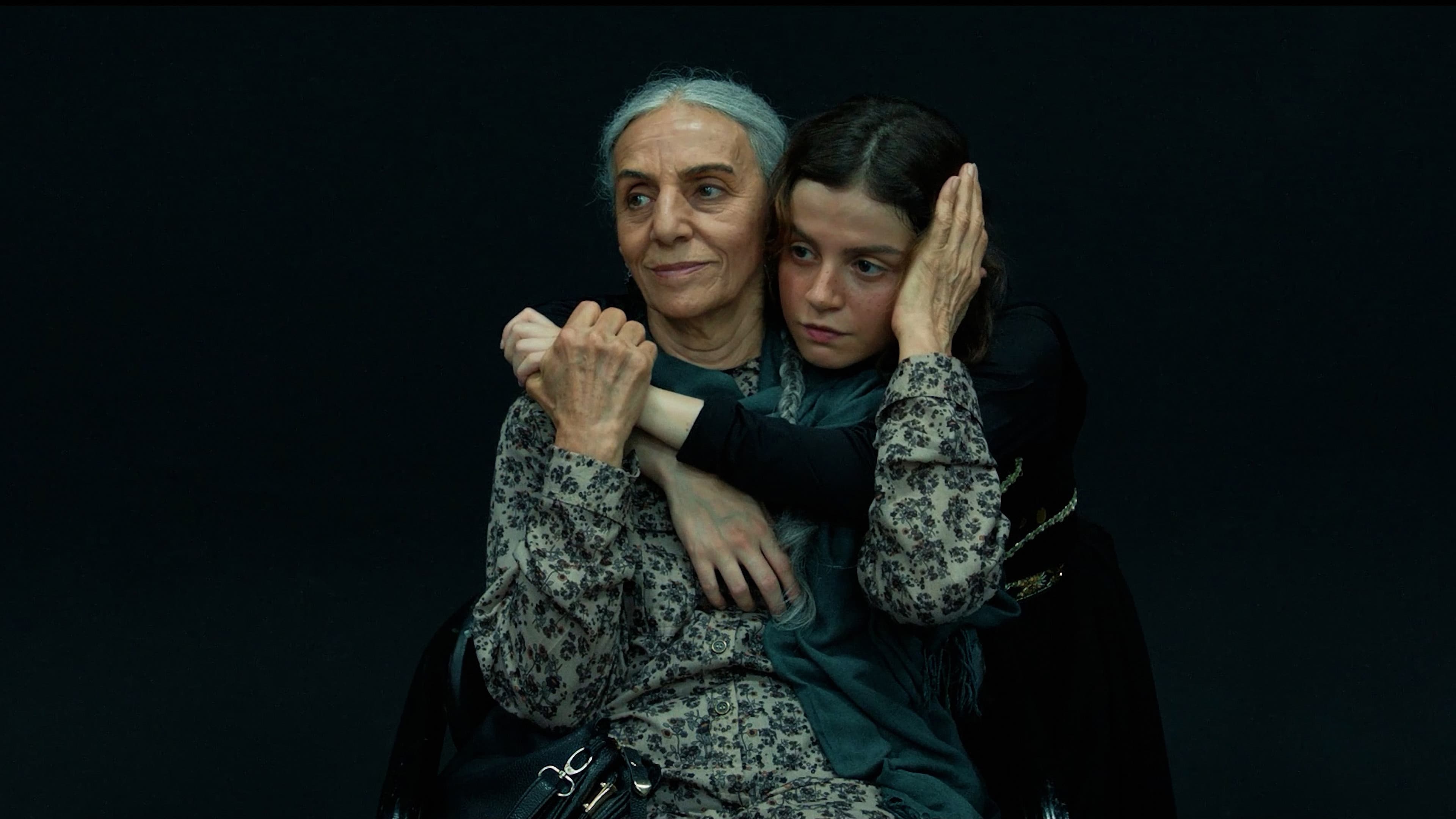 La testimone - Shahed