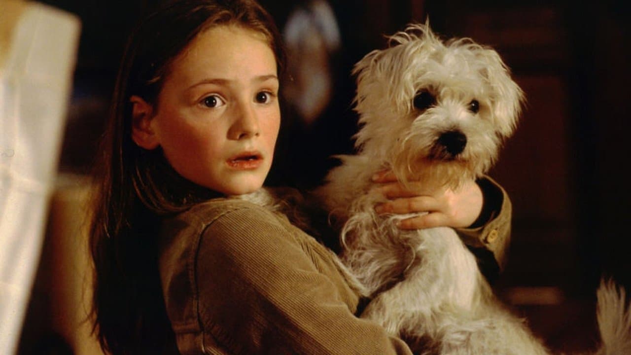 Un fratello a 4 zampe