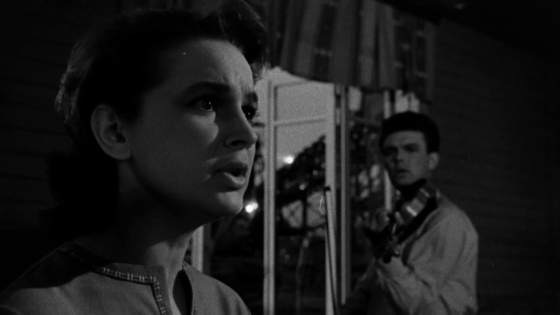 Il fiore sulla pietra