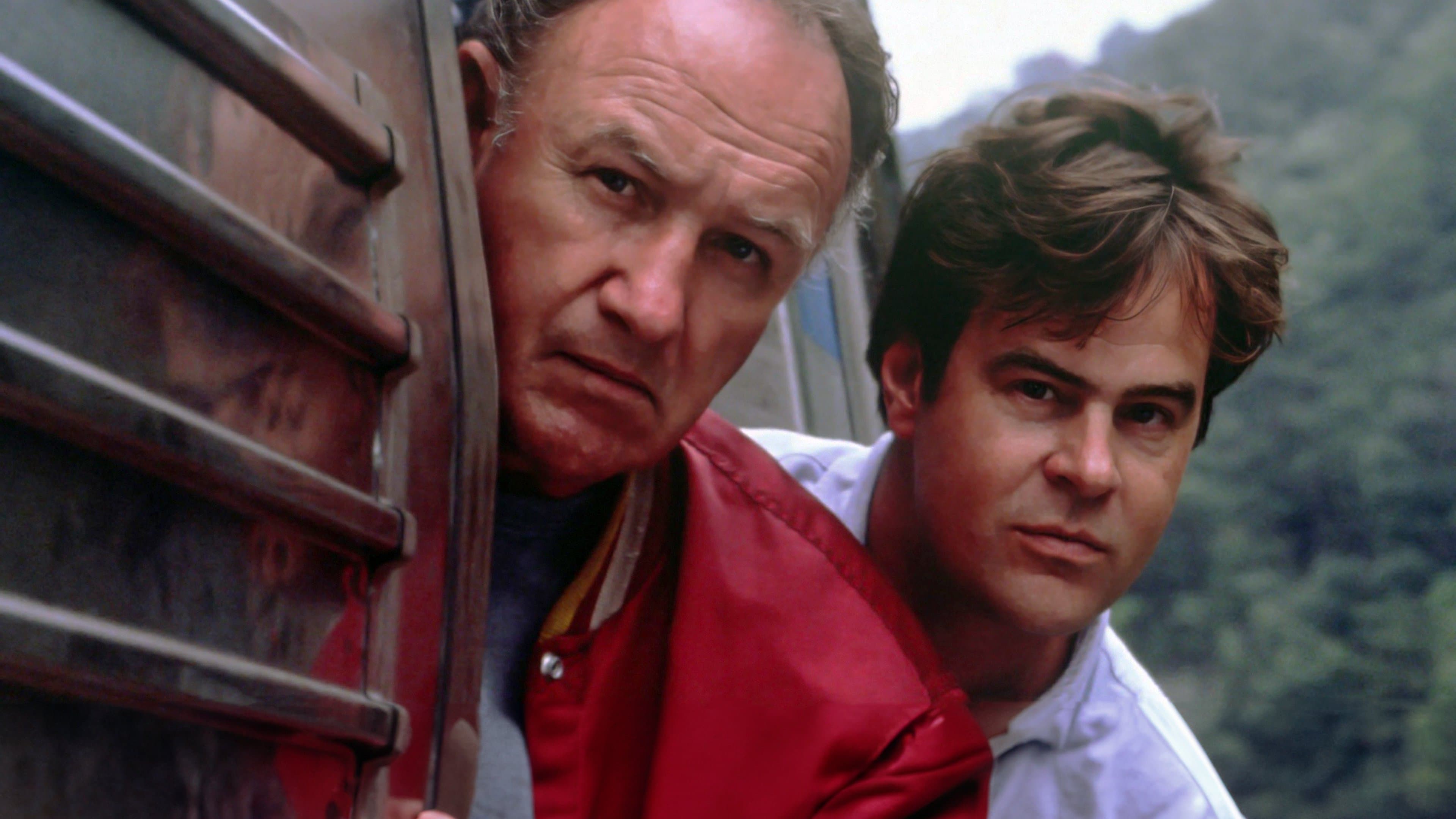 Poliziotti a due zampe