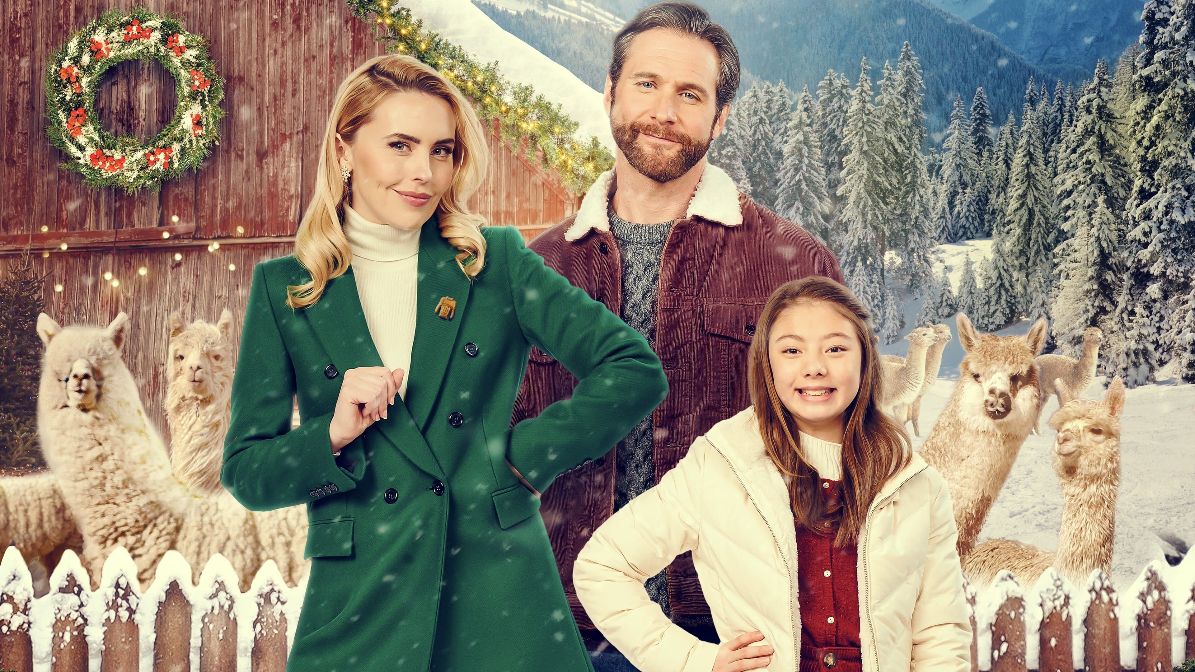 Natale nella fattoria degli alpaca