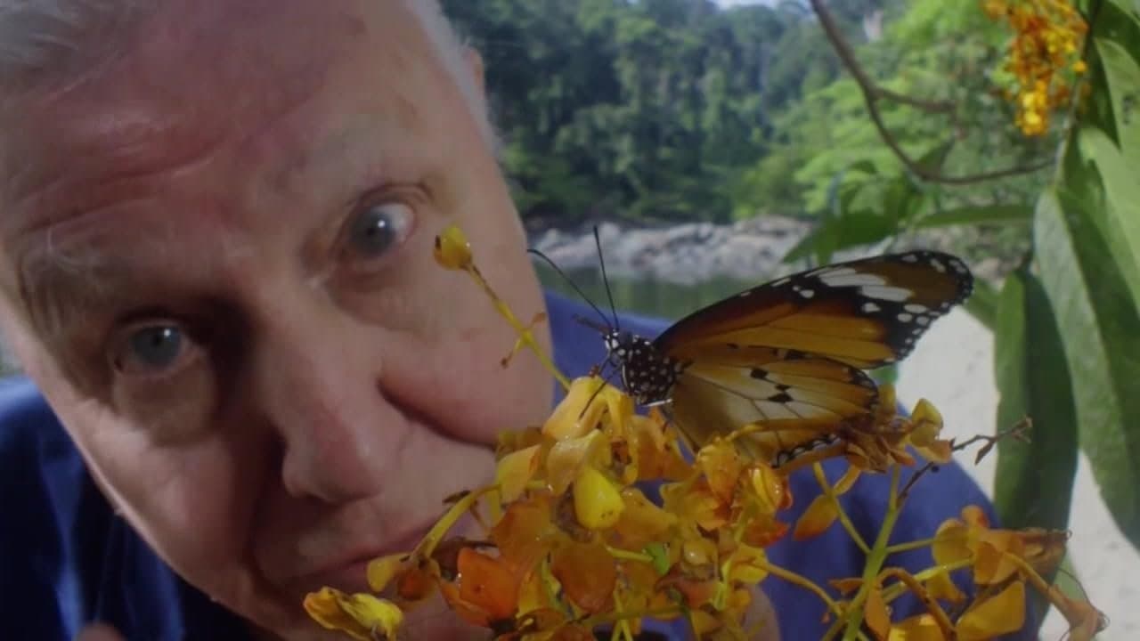 Alla conquista dei cieli con David Attenborough