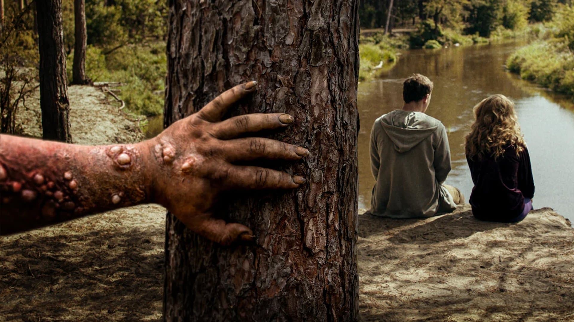 Non dormire nel bosco stanotte