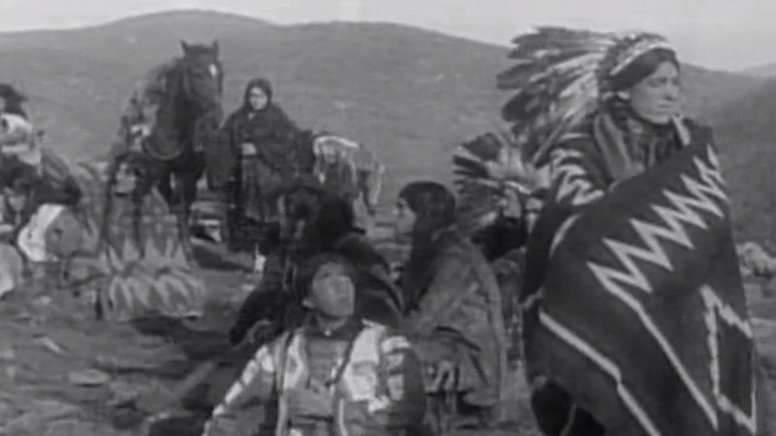 Uno sguardo ai Pellerossa