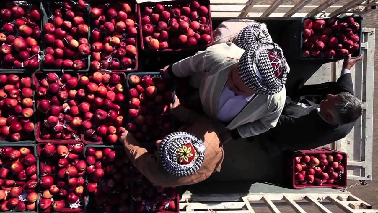 هەزار و یەک سێو