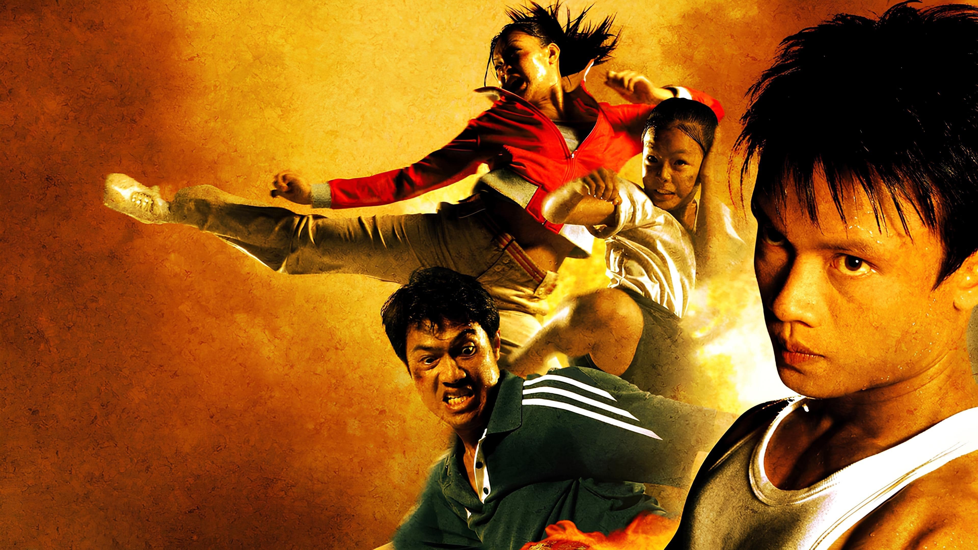 Born to fight - Nati per combattere