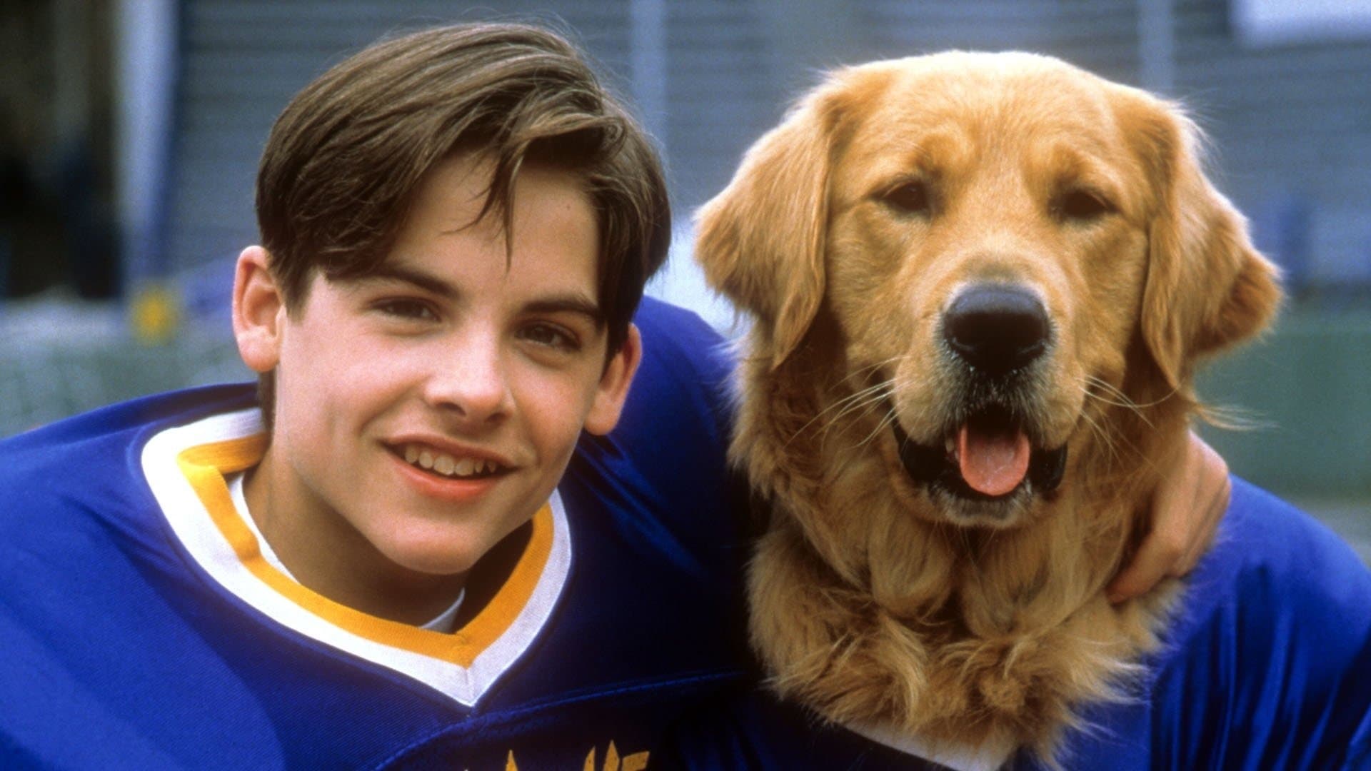 Air Bud 2 - Eroe a quattro zampe