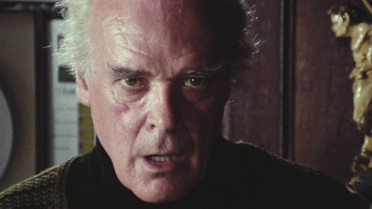 Black Cat: Gatto nero