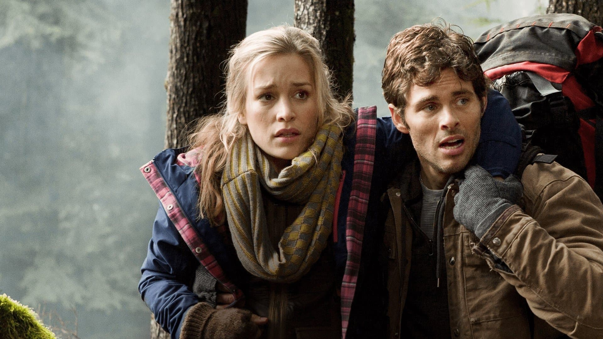 Labirinto dei Grizzly