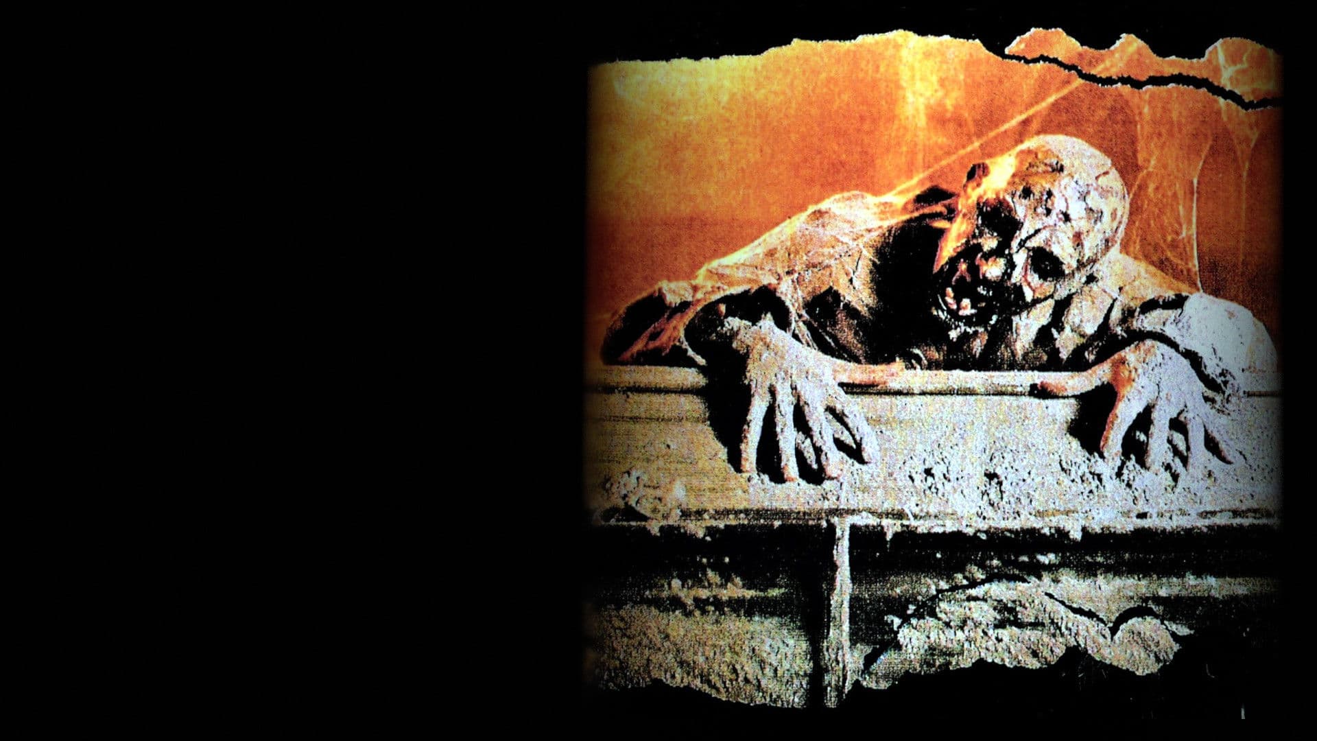 Una notte al cimitero