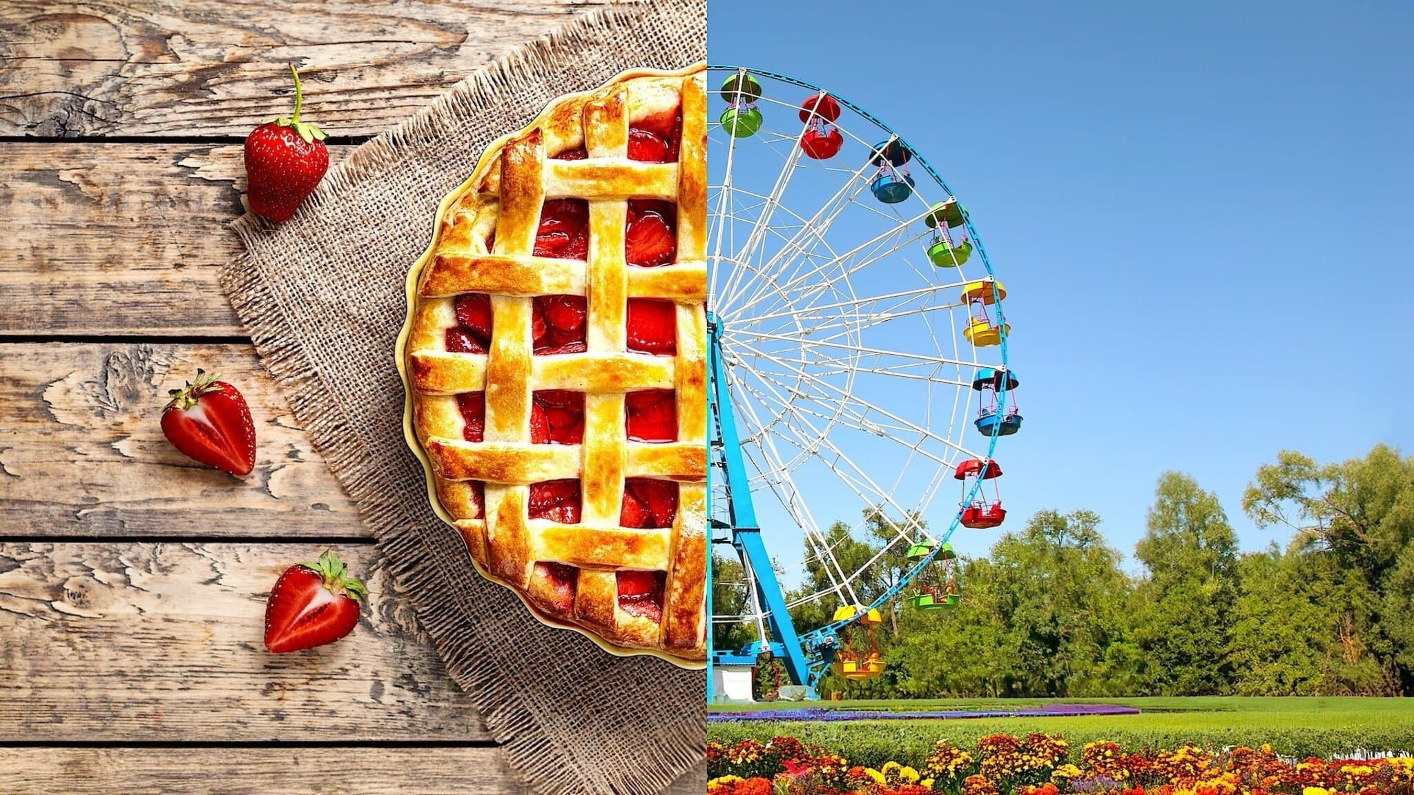 Blue Ribbon: il campionato di cucina USA