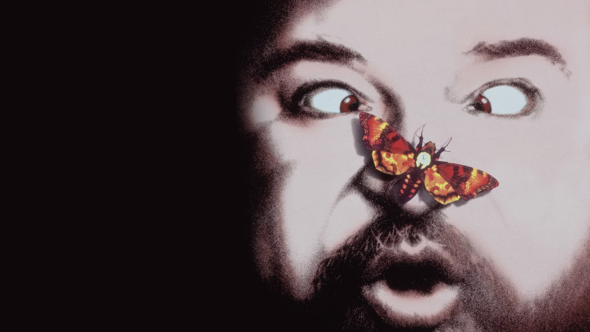 Il silenzio dei prosciutti