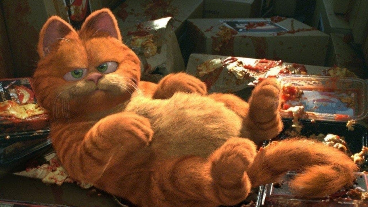 Garfield - Il film