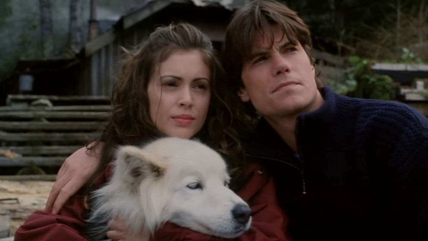 Il coraggio del cuore