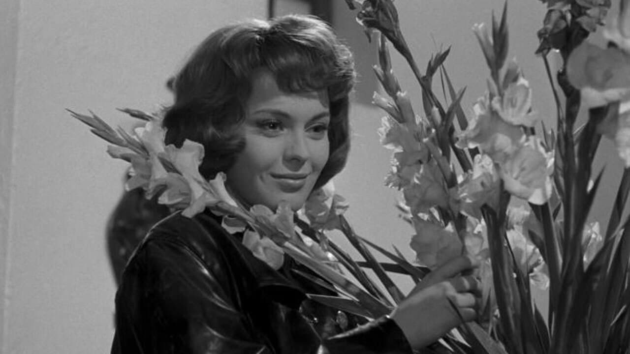 L'amante di cinque giorni