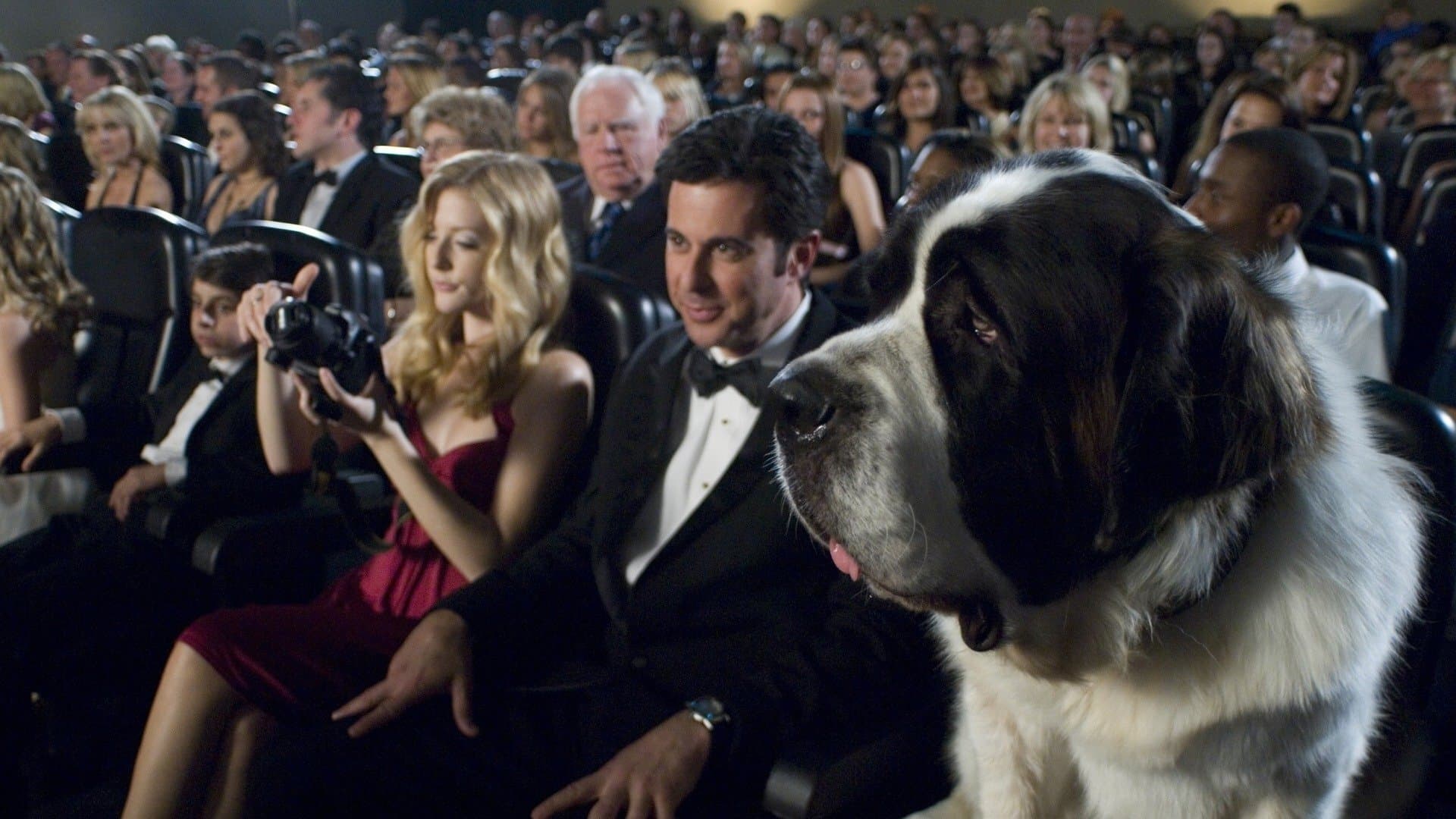 Beethoven - A caccia di Oss... car!