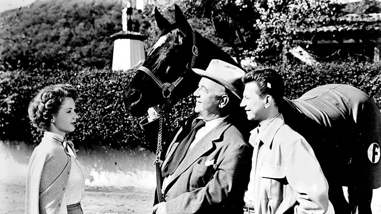 Francis contro la camorra