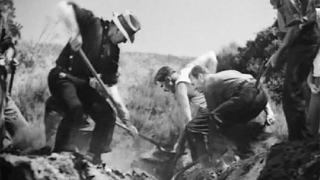 Nostro pane quotidiano