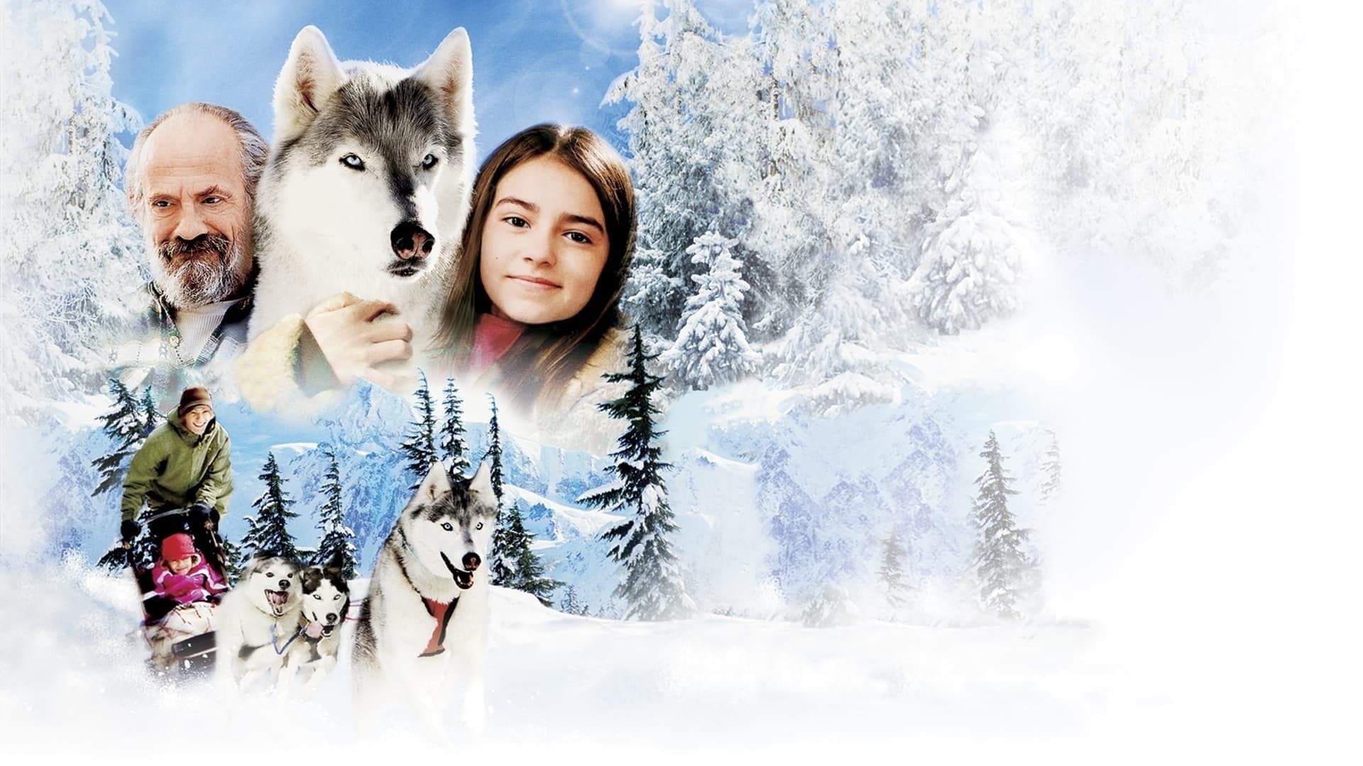 Il richiamo della foresta